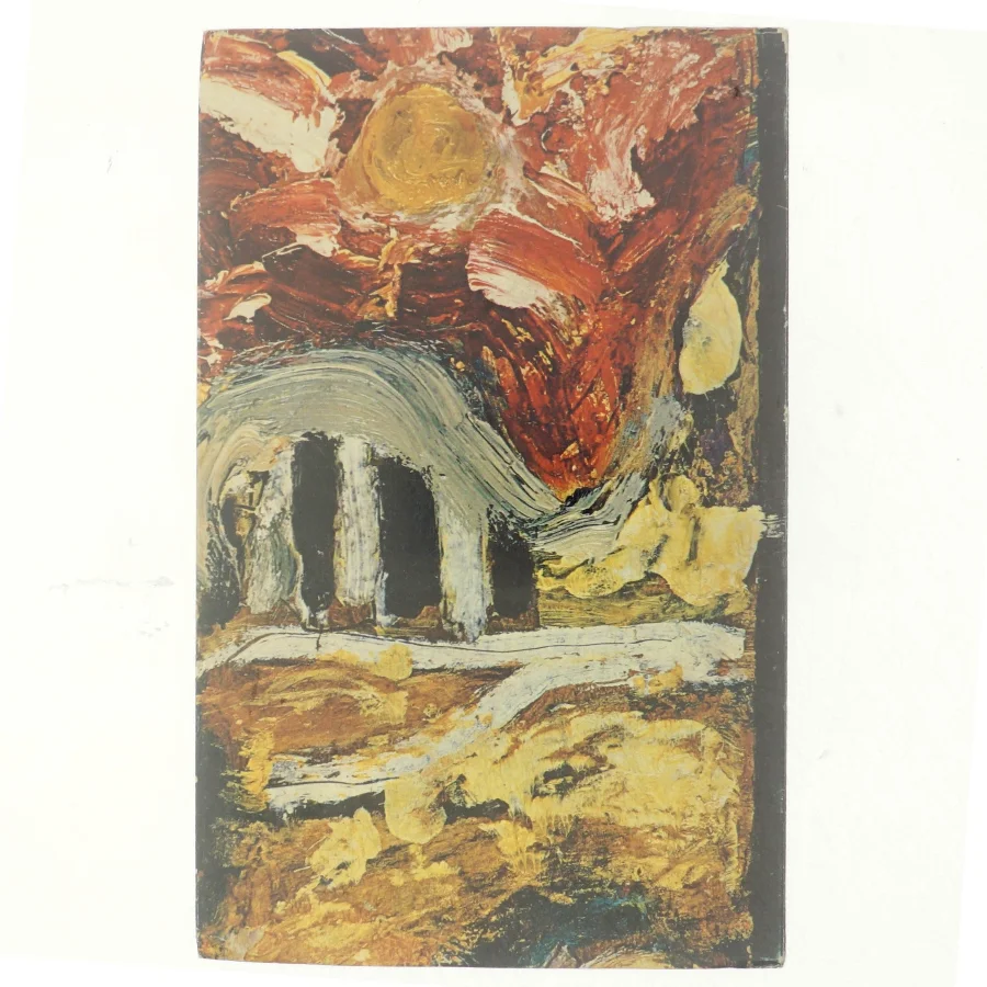 Et brugt liv af Lean Nielsen (bog)