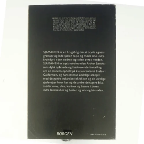 Sjamanen af Arthur Sørensen (bog)