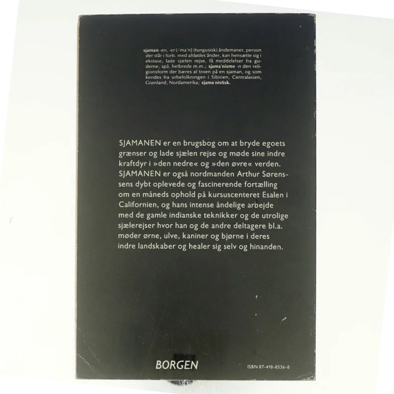 Sjamanen af Arthur Sørensen (bog)