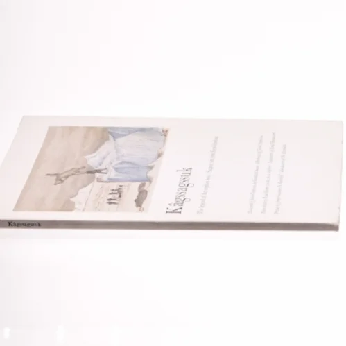 Kâgssagssuk. Sagnet om den forældreløse/The Legend of The Orphan Boy af Knud Ramsussen (bog)