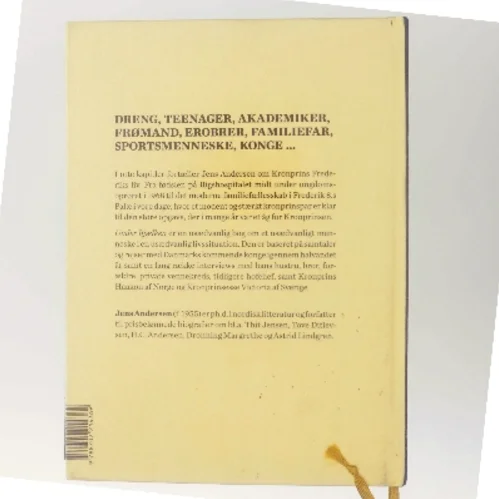 Under bjælken af Jens Andersen (f. 1955) (Bog)