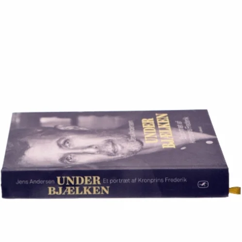 Under bjælken af Jens Andersen (f. 1955) (Bog)