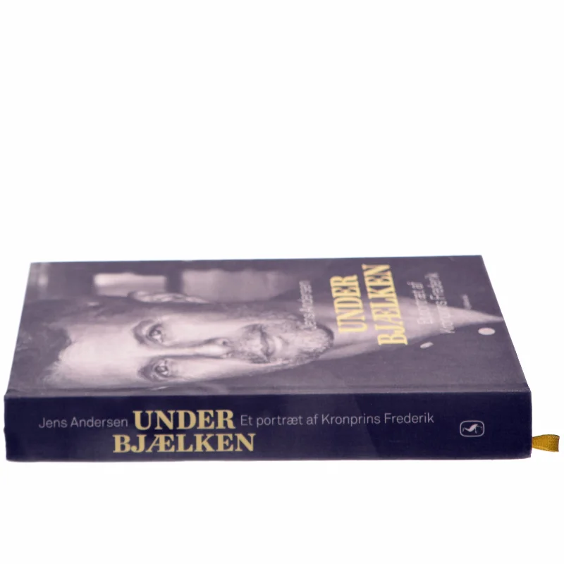 Under bjælken af Jens Andersen (f. 1955) (Bog)