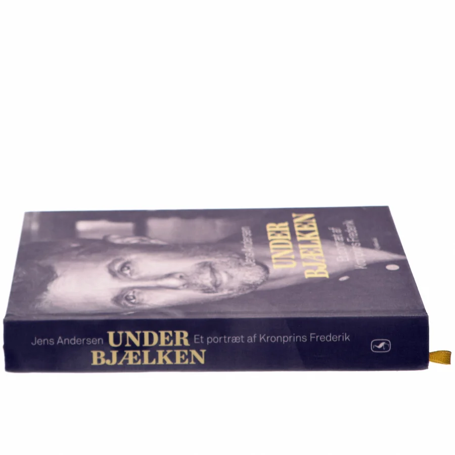 Under bjælken af Jens Andersen (f. 1955) (Bog)