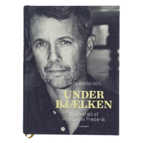 Under bjælken af Jens Andersen (f. 1955) (Bog)