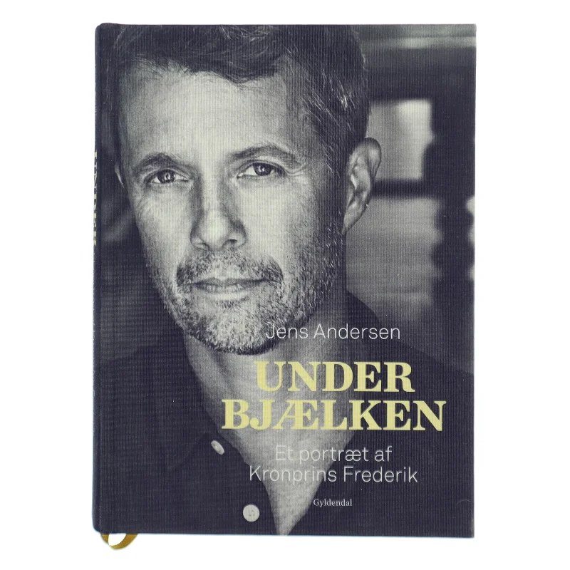 Under bjælken af Jens Andersen (f. 1955) (Bog)