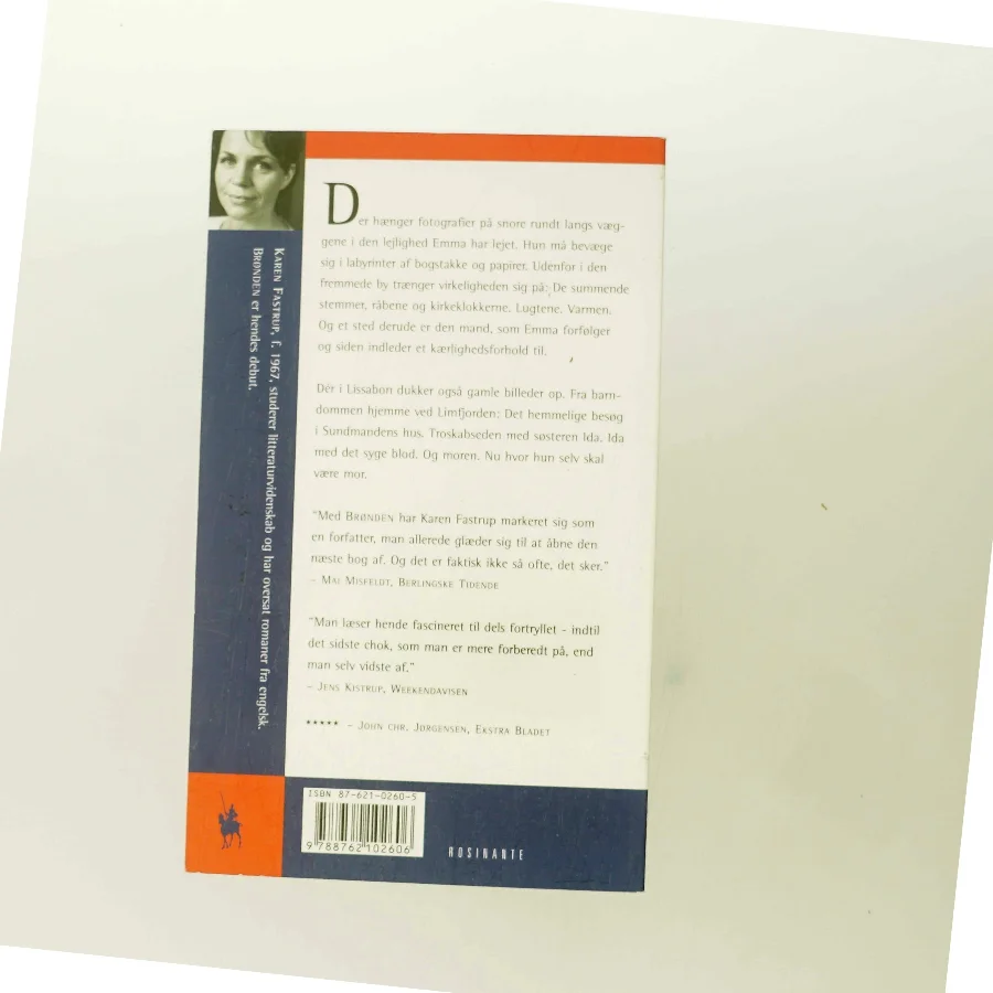 Brønden : roman af Karen Fastrup (Bog)