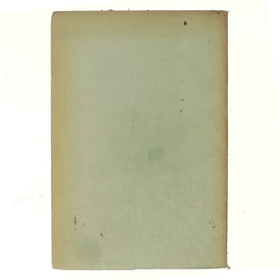 Især for slægt og venner af Viggo Barfoed (bog)