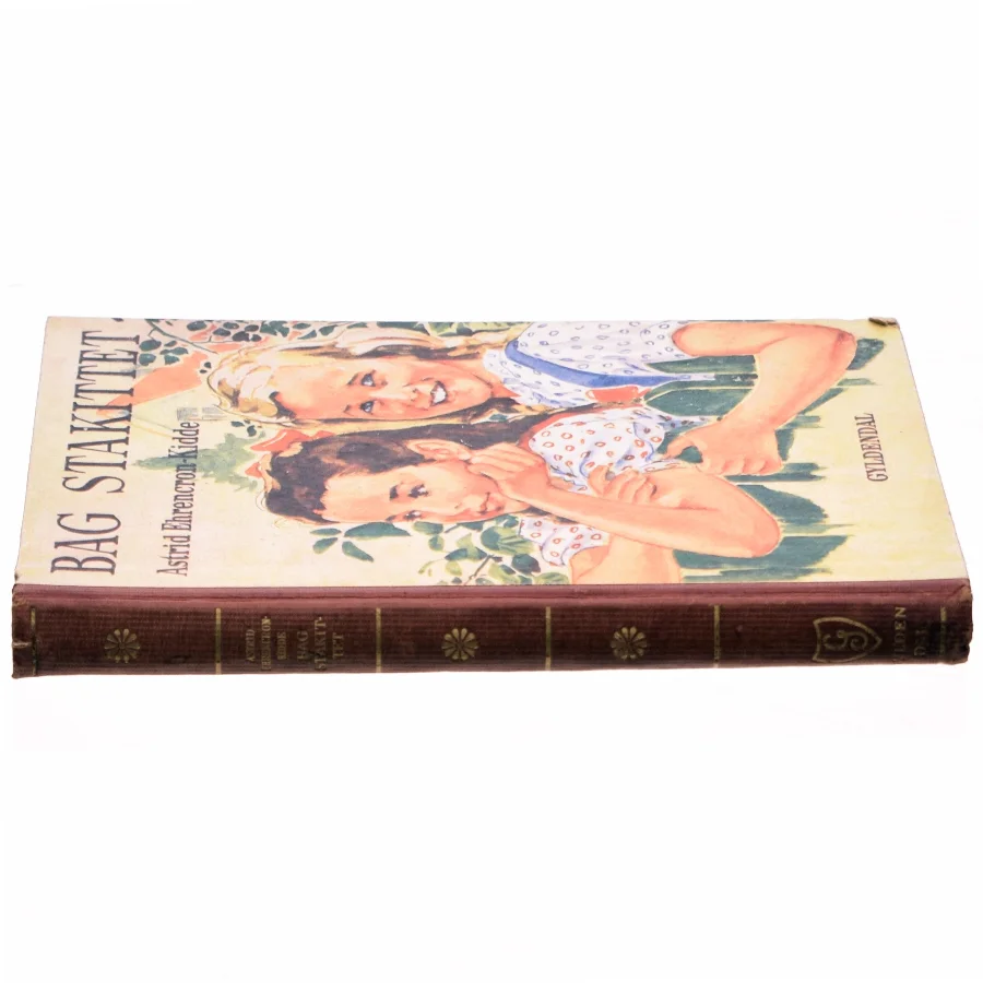 Bag stakittet af Astrid Ehrencron-Kidde (bog)
