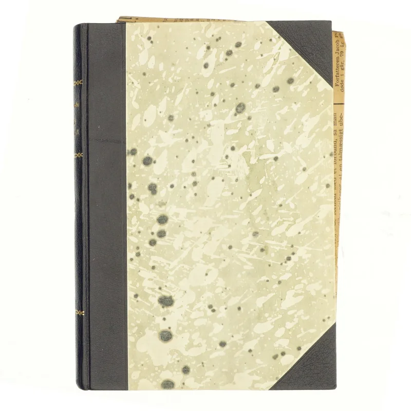 Jacob Paludan af Orla Lundbo