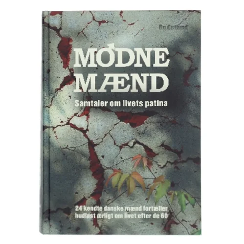 Modne mænd af Bo Østlund (Bog)
