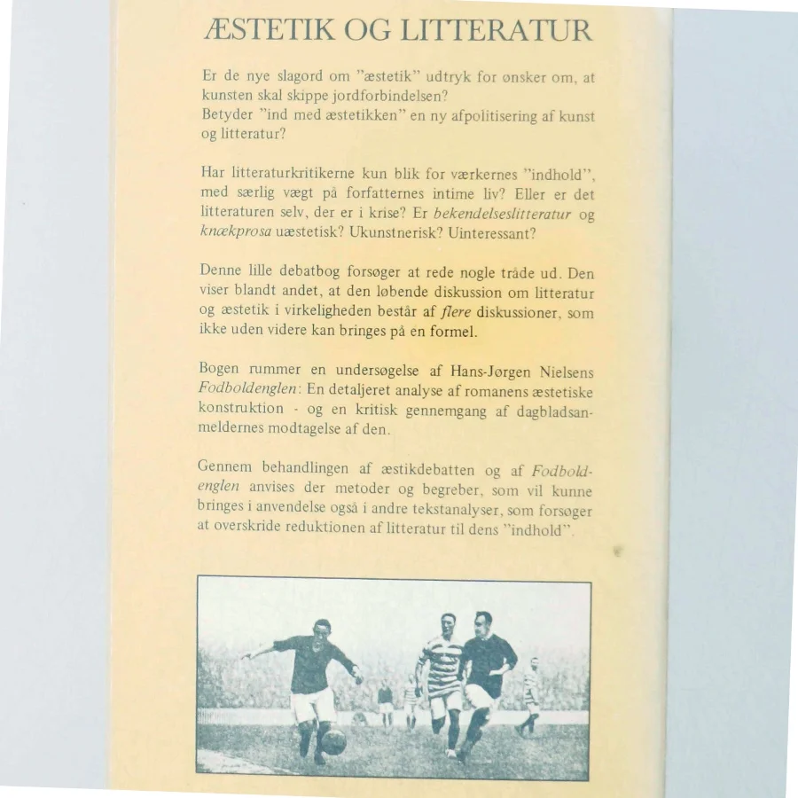 Morten Kyndrup: Æstetik og litteratur