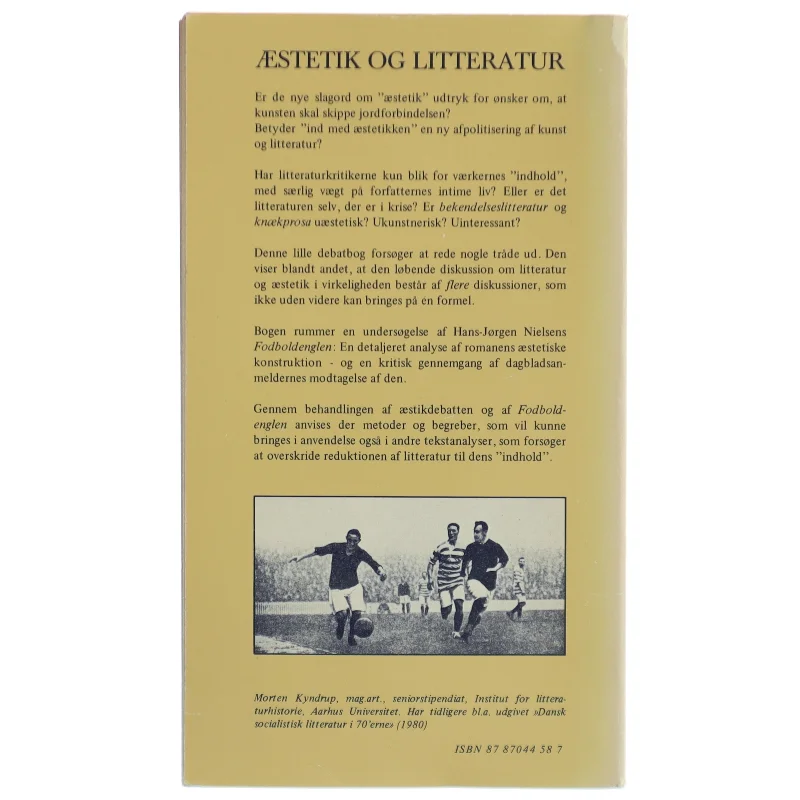 Morten Kyndrup: Æstetik og litteratur