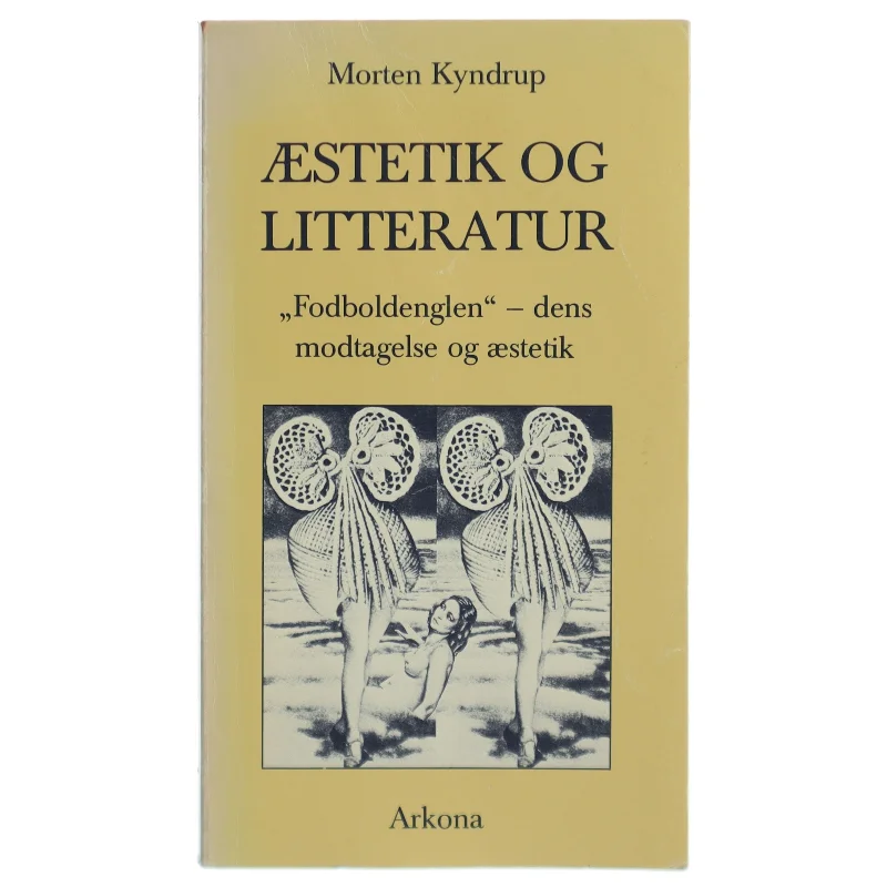 Morten Kyndrup: Æstetik og litteratur