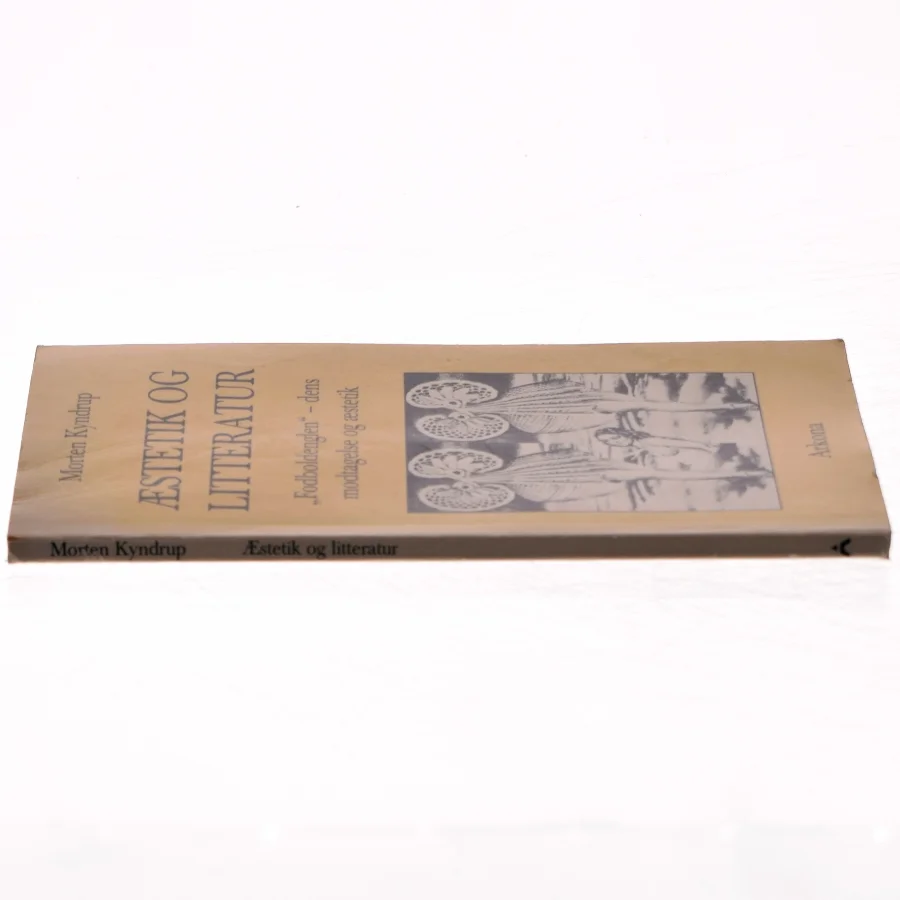 Morten Kyndrup: Æstetik og litteratur