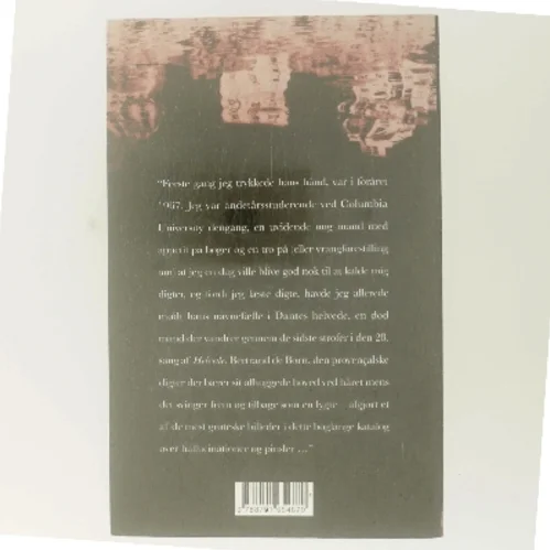 Usynlig : roman af Paul Auster (Bog)