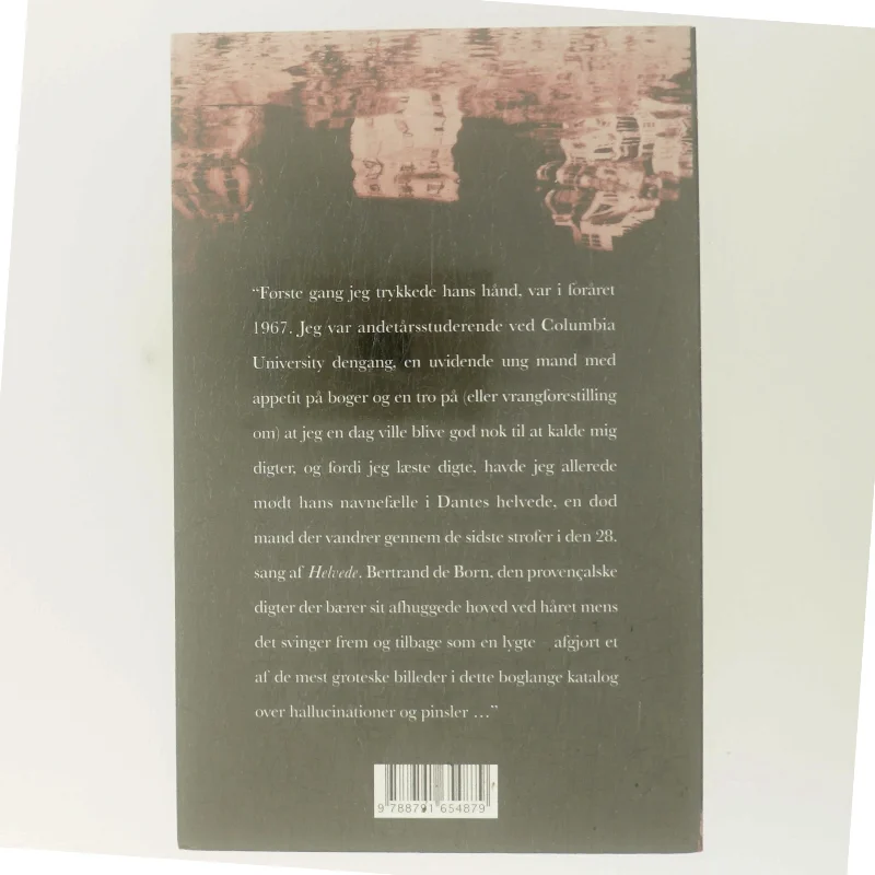 Usynlig : roman af Paul Auster (Bog)