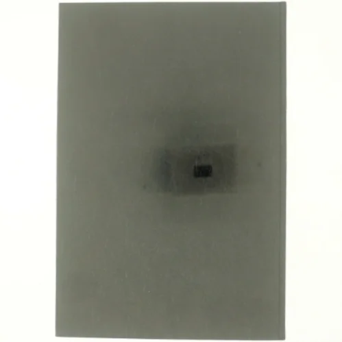 En arbejderkoloni på Frederiksberg af Kjeld de Fine Licht (bog)