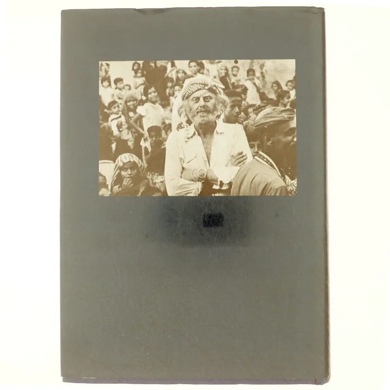 The Voyage of The Mir-El-Lah af Lorenzo Ricciardi (bog)