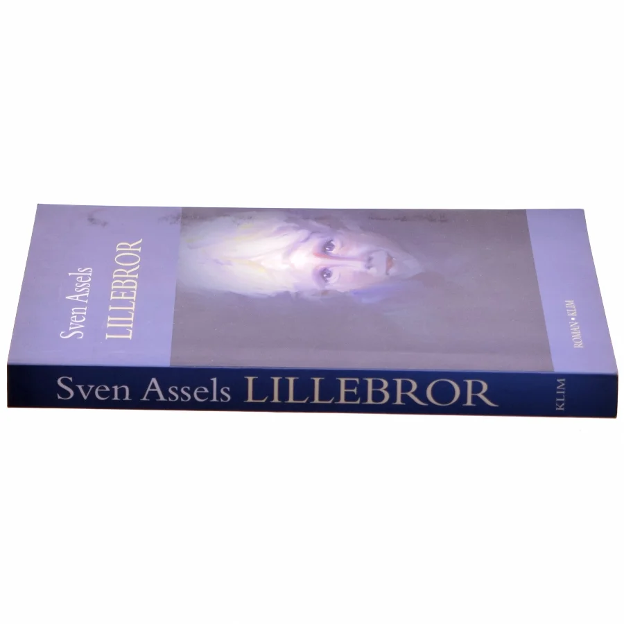 Lillebror af Sven Assels (bog)