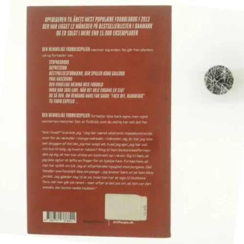 Den hemmelige fodboldspiller 2 (Bog)