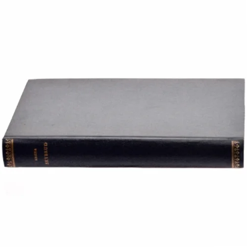 Skybrud af Anitra (bog)