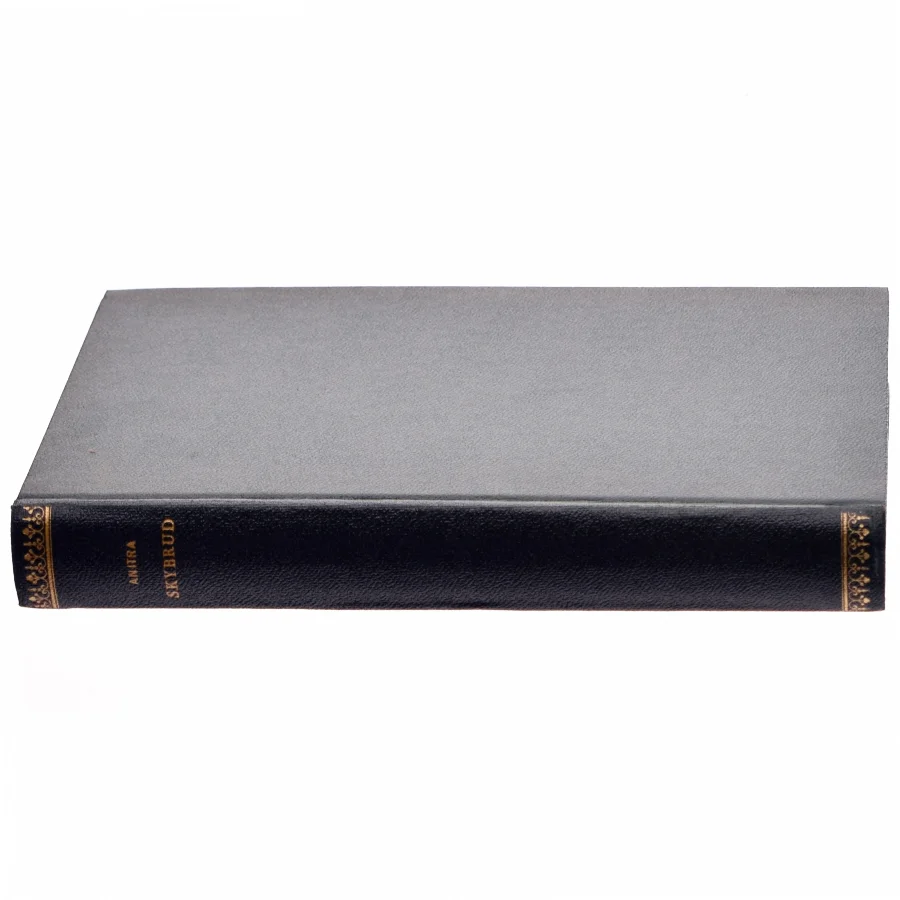 Skybrud af Anitra (bog)