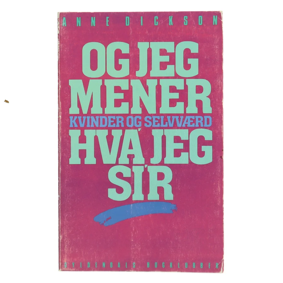 Og jeg mener hva jeg si'r af Anne Dickson (Bog)