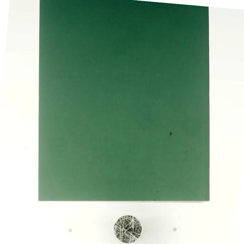 Håndtering af covid-19 i foråret 2020 (bog)