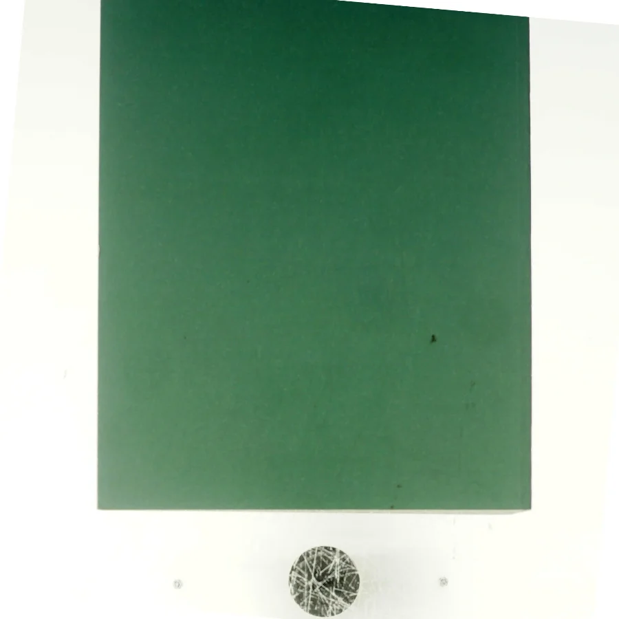 Håndtering af covid-19 i foråret 2020 (bog)