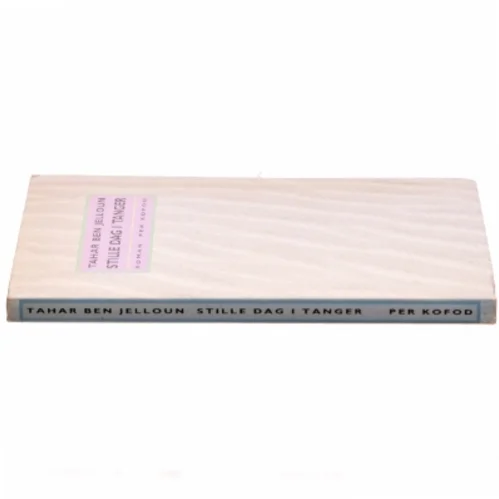 Stille dag ei Tanger af Tahar Ben Jelloun (bog)