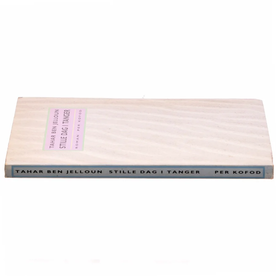 Stille dag ei Tanger af Tahar Ben Jelloun (bog)