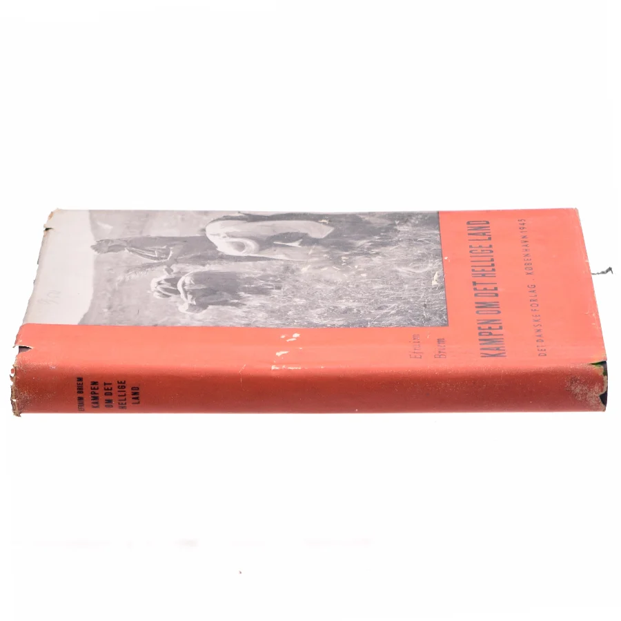 Kampen om det hellige land af Efraim Briem (bog)