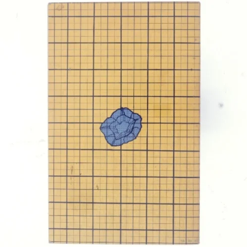 Eksempler af Hans-Jørgen Nielsen (bog)