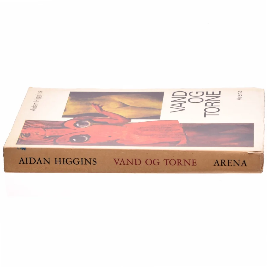 Vand og torne af Aidan Higgins (bog)