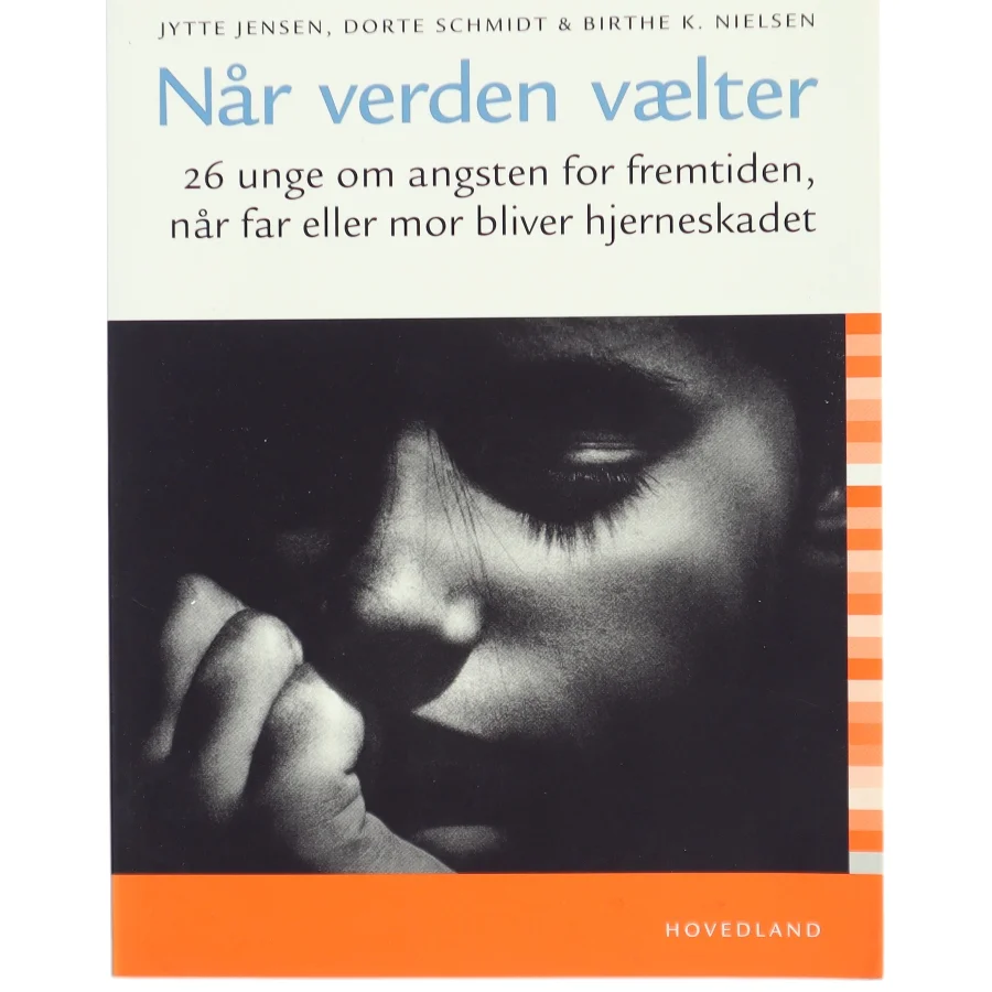 Når verden vælter : 26 unge om angsten for fremtiden, når far eller mor bliver hjerneskadet (Bog)