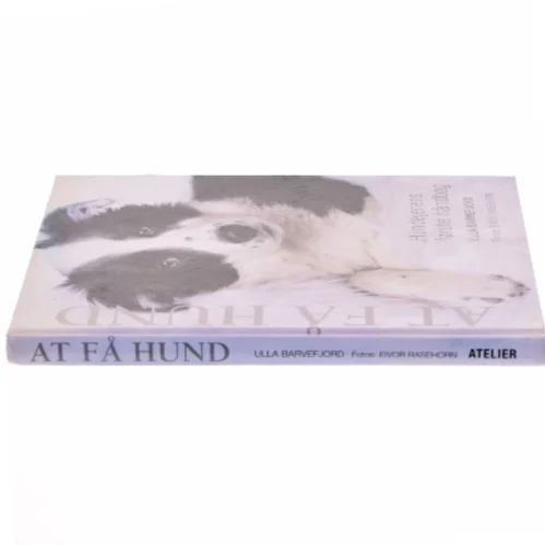 At få hund : hundeejernes første håndbog af Ulla Barvefjord (Bog)