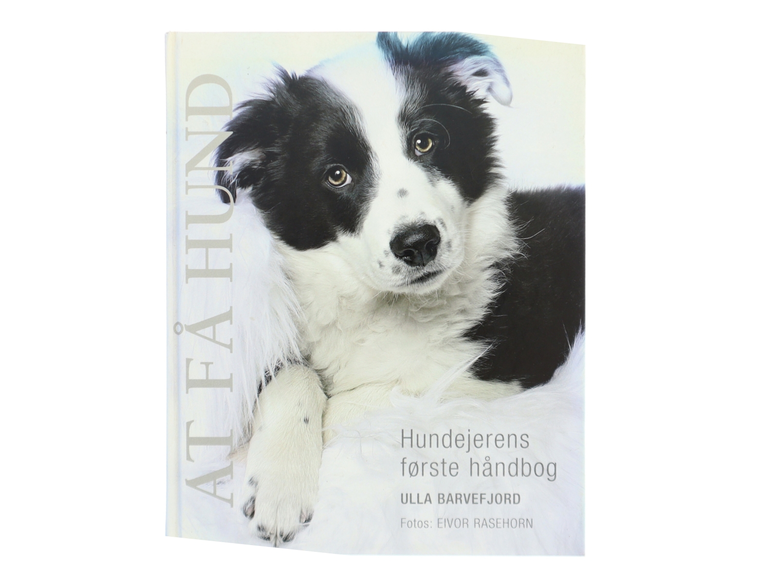 At få hund : hundeejernes første håndbog af Ulla Barvefjord (Bog)
