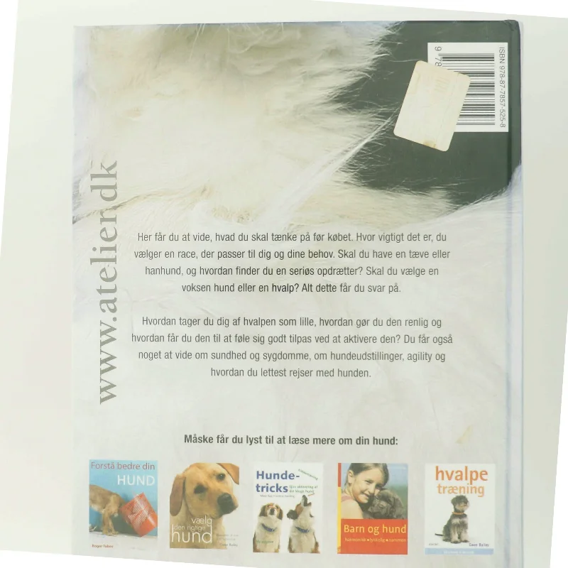 At få hund : hundeejernes første håndbog af Ulla Barvefjord (Bog)