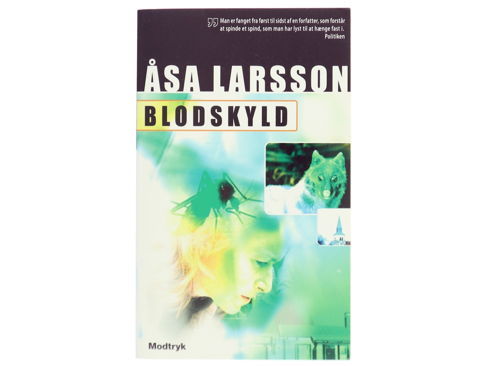 Blodskyld af Åsa Larsson (Bog)