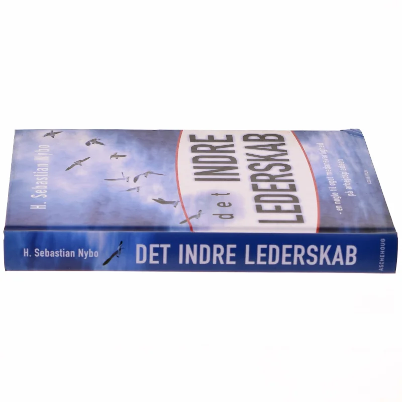 Det indre lederskab : en nøgle til øget medansvarlighed på arbejdspladsen af Sebastian Nybo (Bog)