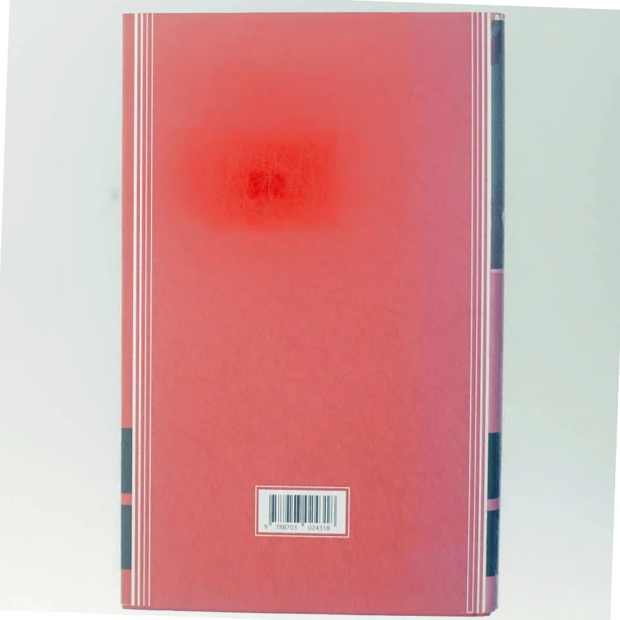 Timeglasset : thriller af Julie Parsons (Bog)