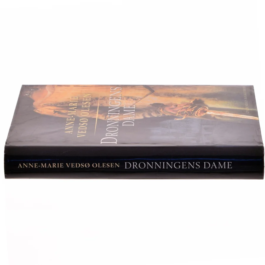 Dronningens dame : roman af Anne-Marie Vedsø Olesen (Bog)