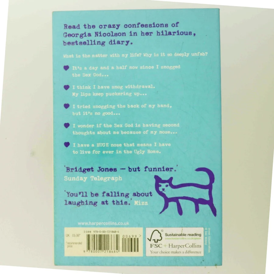 It's ok, I'm wearing really big knickers! : fabulously funny! af Louise Rennison (Bog)