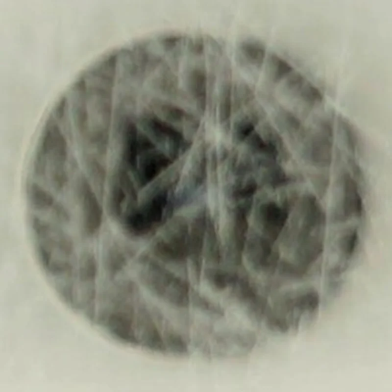 Troels Trier - dobbeltgængeren (Bog)