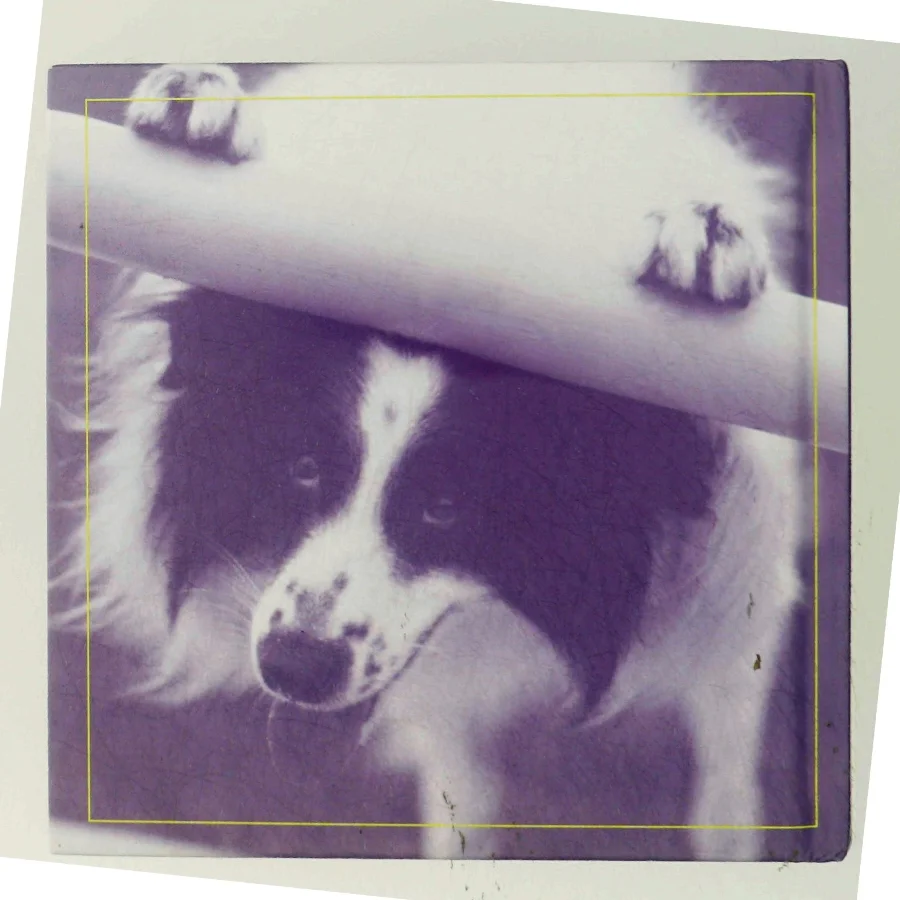 The Book for People Who Do Too Much