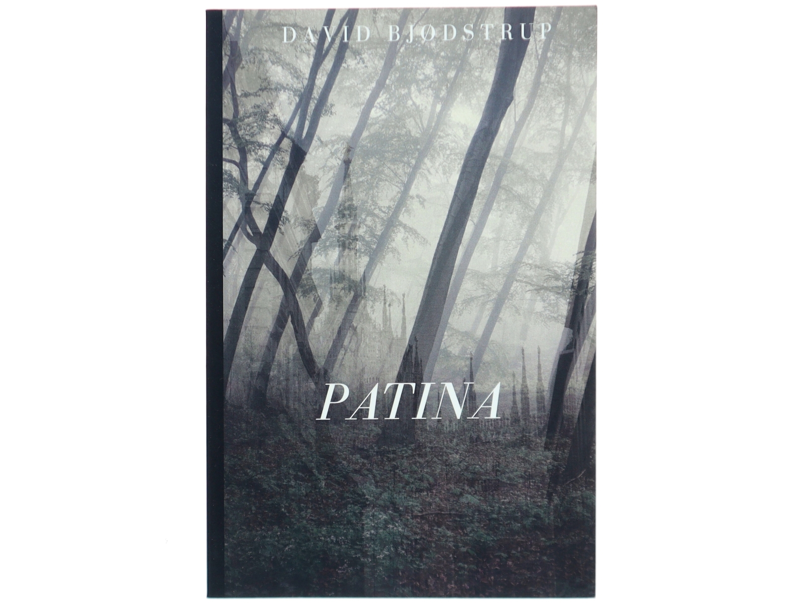 Patina af David Bjødstrup