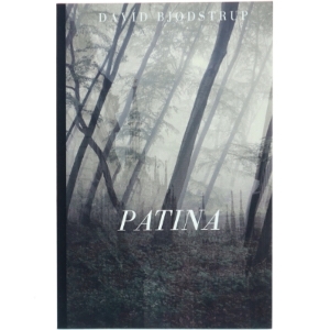 Patina af David Bjødstrup