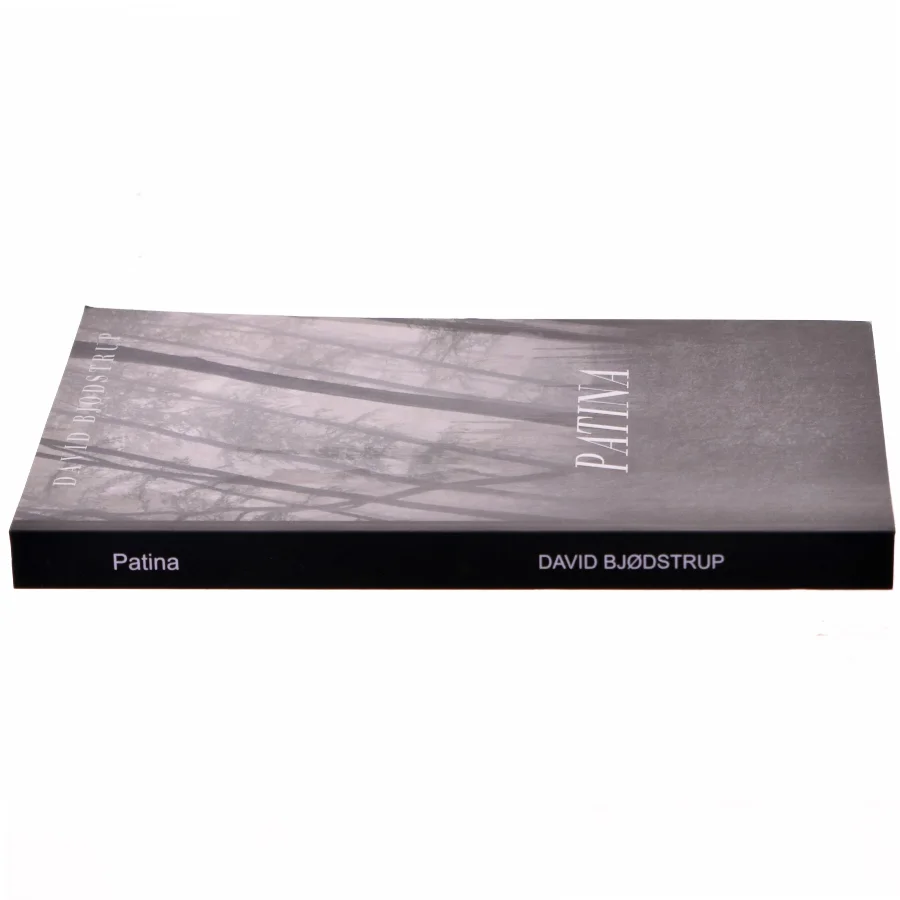 Patina af David Bjødstrup