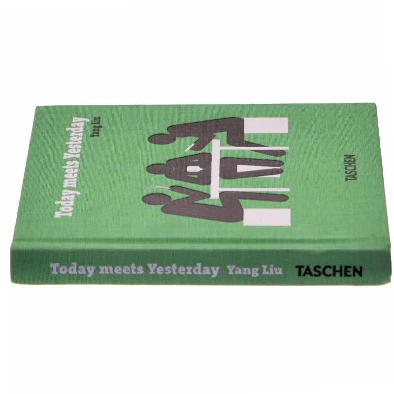 Today Meets Yesterday af Yang Liu (Bog)